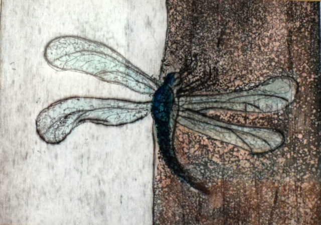 Dragonfly 13 x 13 cm
